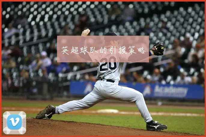 英超球队的引援策略