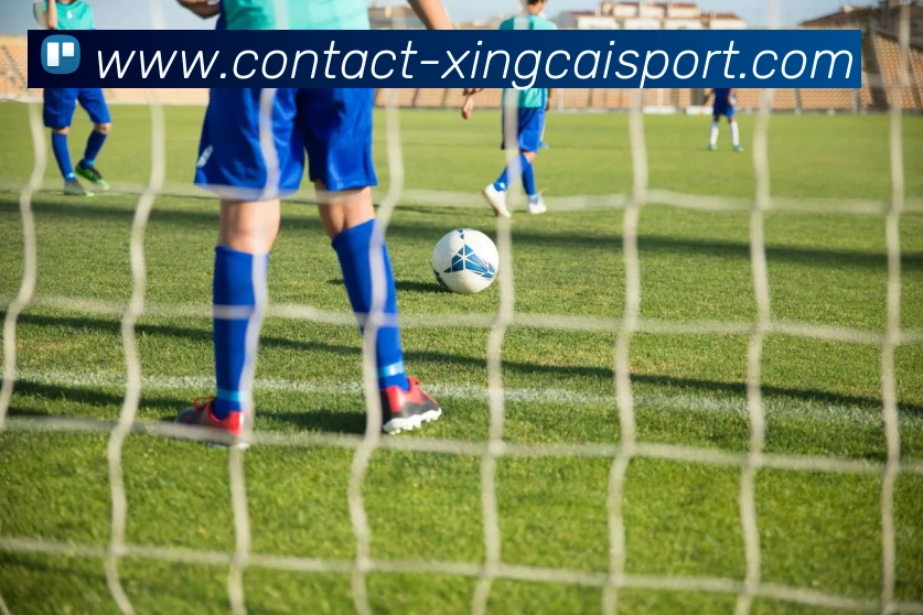 杏彩体育品牌故事